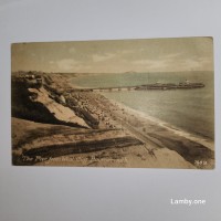 The Pier from West Cliff, Bournemouth 7659